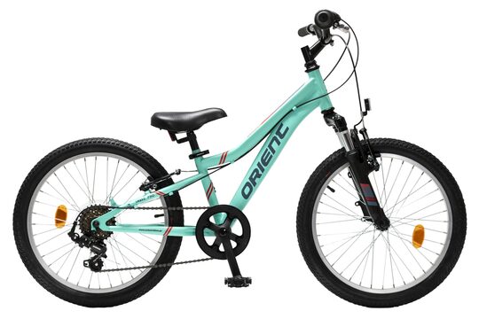 SNAKE PRO 20″ 6sp.