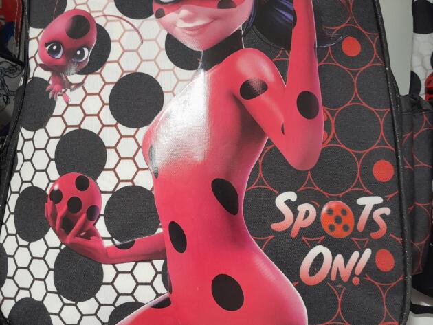 ΣΧΟΛΙΚΗ ΤΣΑΝΤΑ