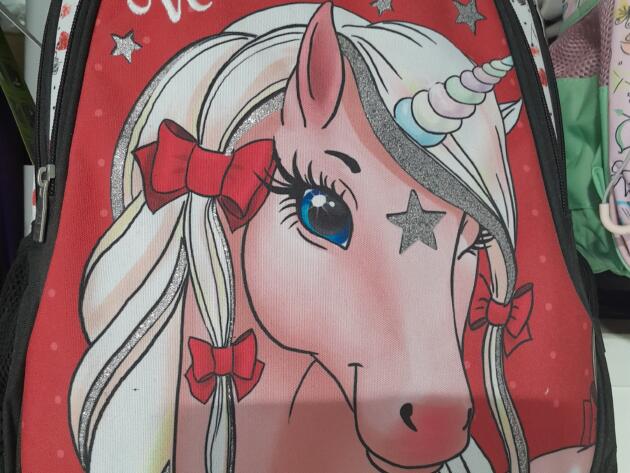 ΣΧΟΛΙΚΗ ΤΣΑΝΤΑ