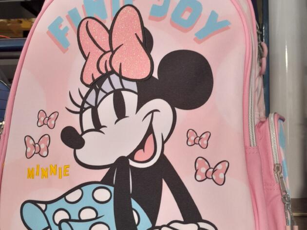 ΣΧΟΛΙΚΗ ΤΣΑΝΤΑ