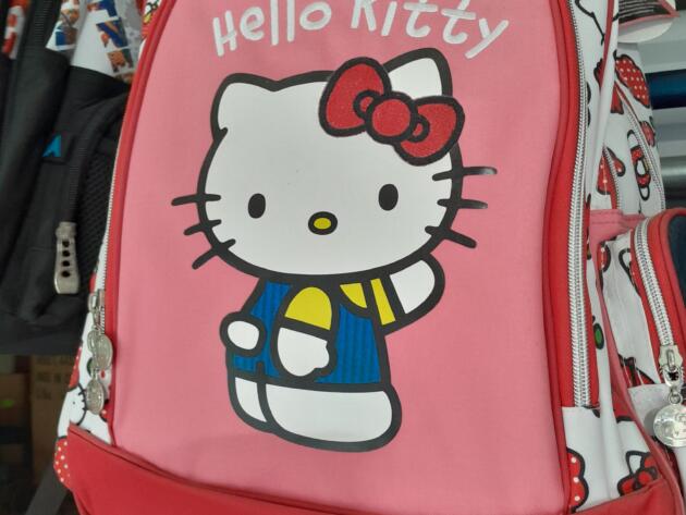 ΣΧΟΛΙΚΗ ΤΣΑΝΤΑ