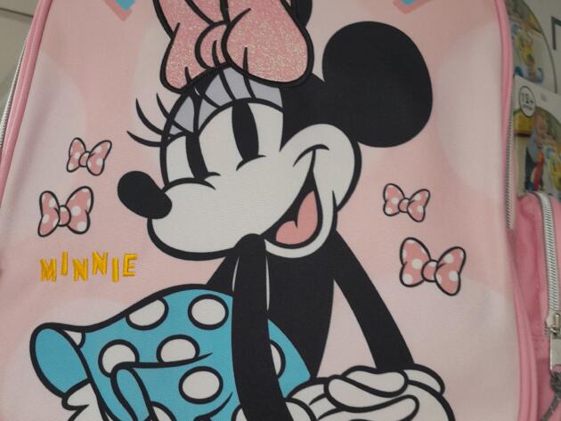 ΣΧΟΛΙΚΗ ΤΣΑΝΤΑ