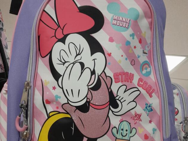 ΣΧΟΛΙΚΗ ΤΣΑΝΤΑ