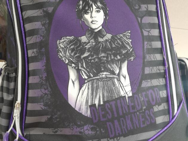 ΣΧΟΛΙΚΗ ΤΣΑΝΤΑ