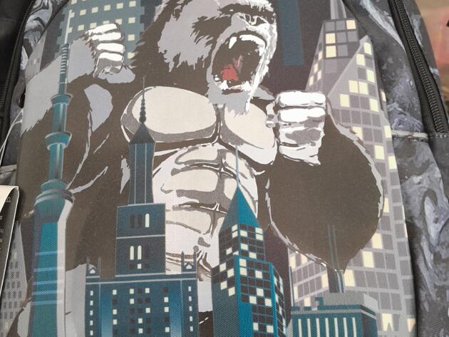 ΣΧΟΛΙΚΗ ΤΣΑΝΤΑ