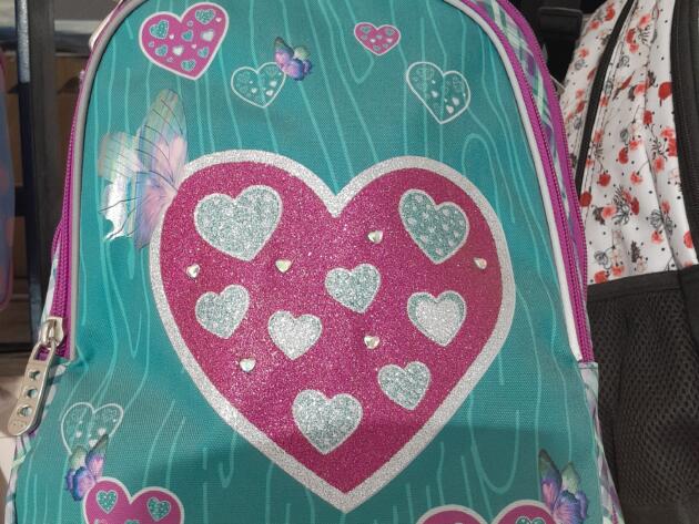 ΣΧΟΛΙΚΗ ΤΣΑΝΤΑ