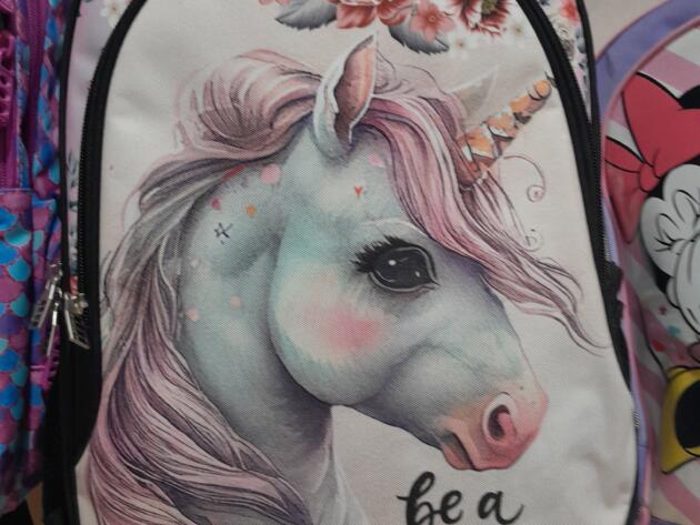 ΣΧΟΛΙΚΗ ΤΣΑΝΤΑ