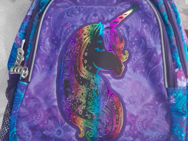 ΣΧΟΛΙΚΗ ΤΣΑΝΤΑ