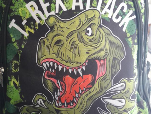 ΣΧΟΛΙΚΗ ΤΣΑΝΤΑ