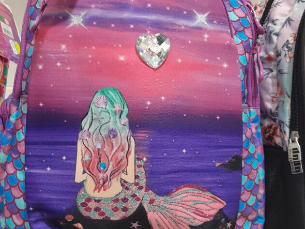 ΣΧΟΛΙΚΗ ΤΣΑΝΤΑ