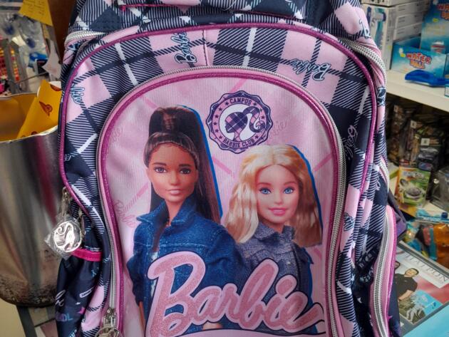 ΣΧΟΛΙΚΗ ΤΣΑΝΤΑ ΤΡΟΛΕΥ