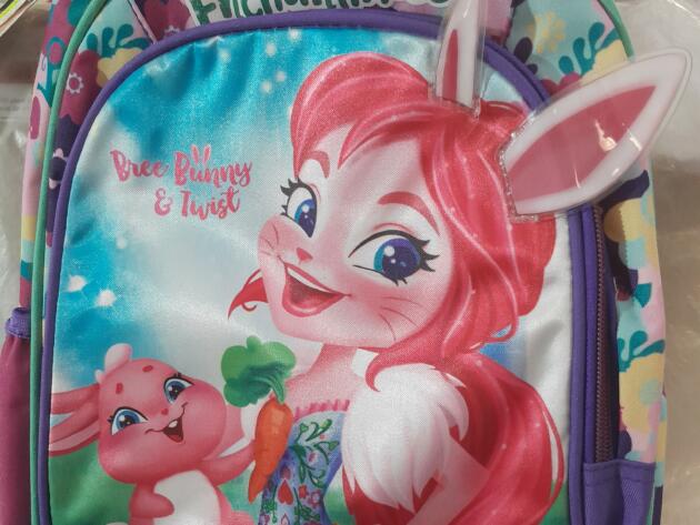 ΣΧΟΛΙΚΗ ΤΣΑΝΤΑ ΝΗΠΙΟΥ