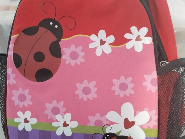 ΣΧΟΛΙΚΗ ΤΣΑΝΤΑ ΝΗΠΙΟΥ